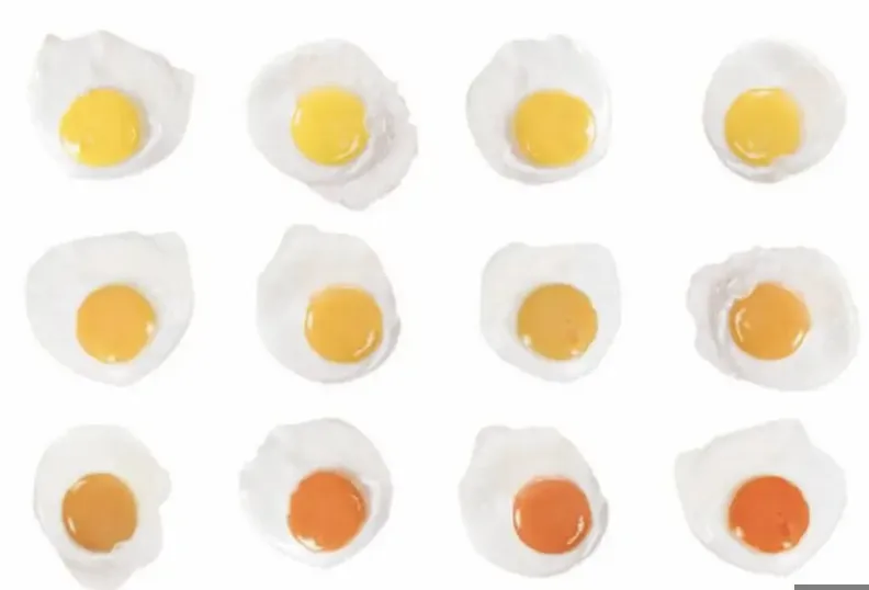 How Deep Is Your Yolk | dannwoellertthefoodetymologist