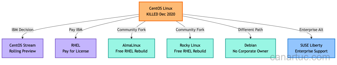 图片来源：作者，CentOS 到 RHEL 替代方案决策树