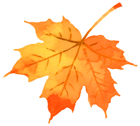 d4becf0a89d420ccae575a5517fbbbbc.png