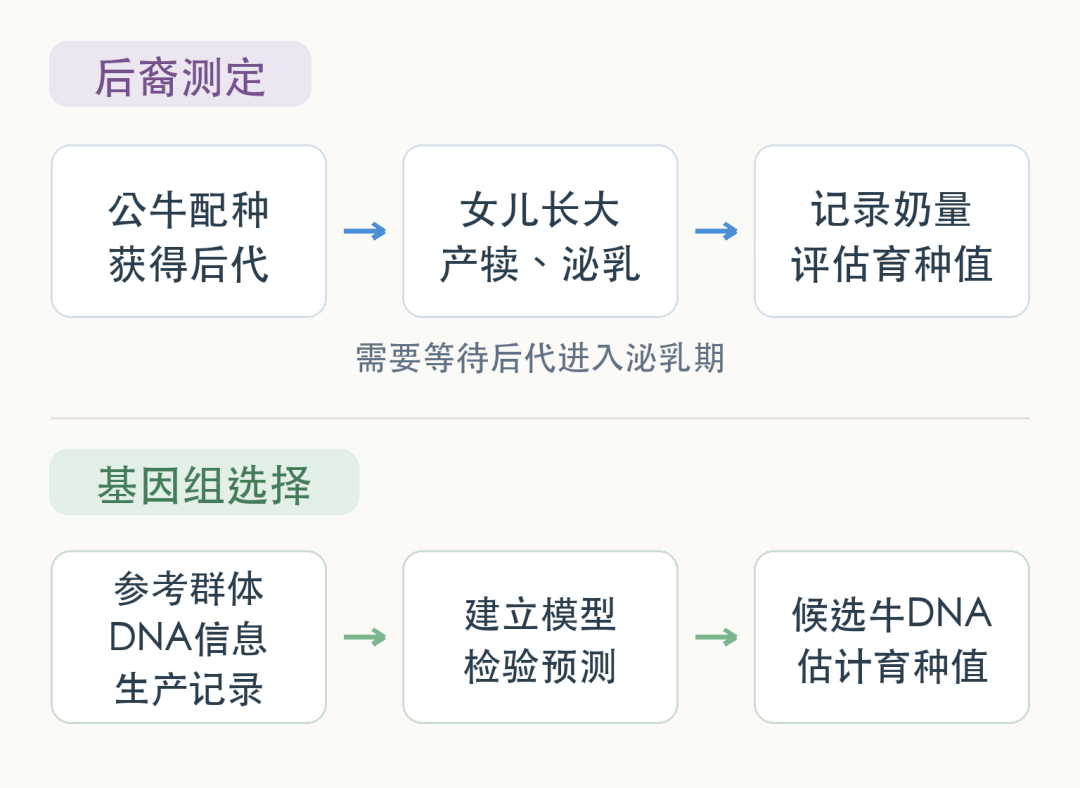 后裔测定与基因组选择