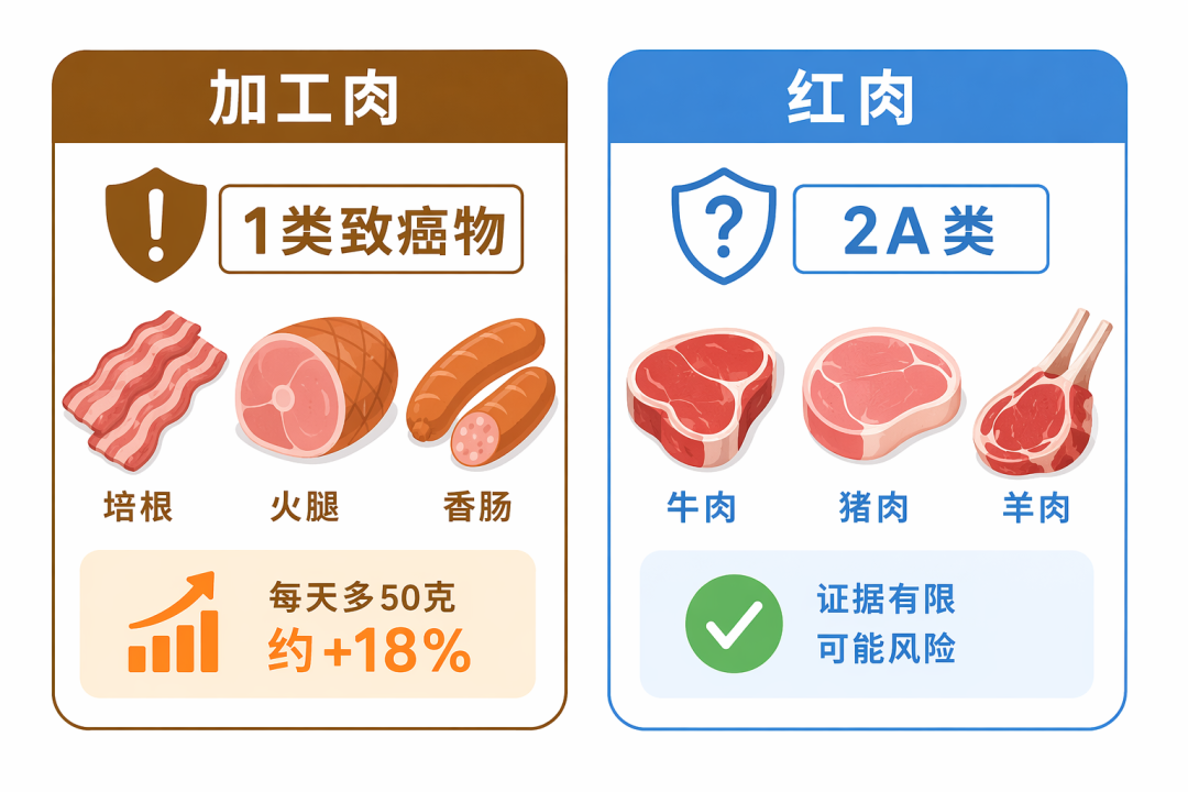 加工肉和红肉证据对比