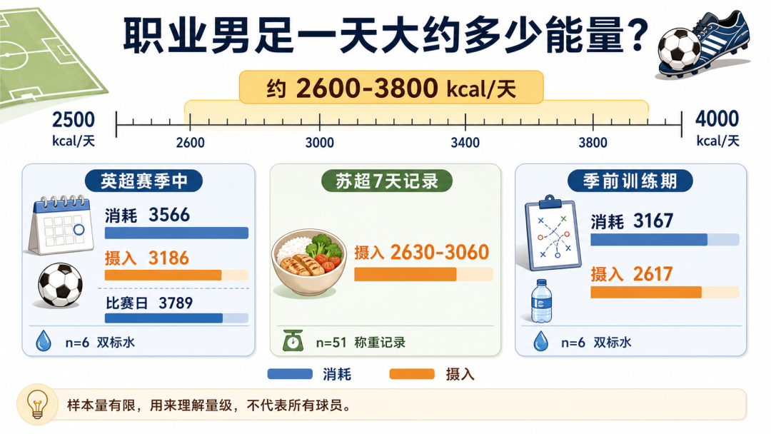 职业球员能量摄入数据图