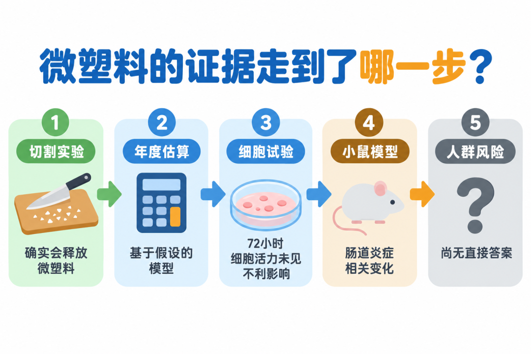微塑料证据链：从切割实验到人群风险