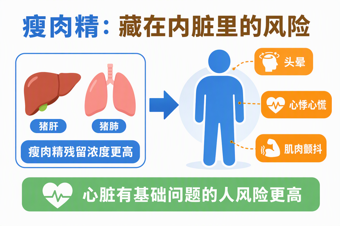 瘦肉精残留风险示意图