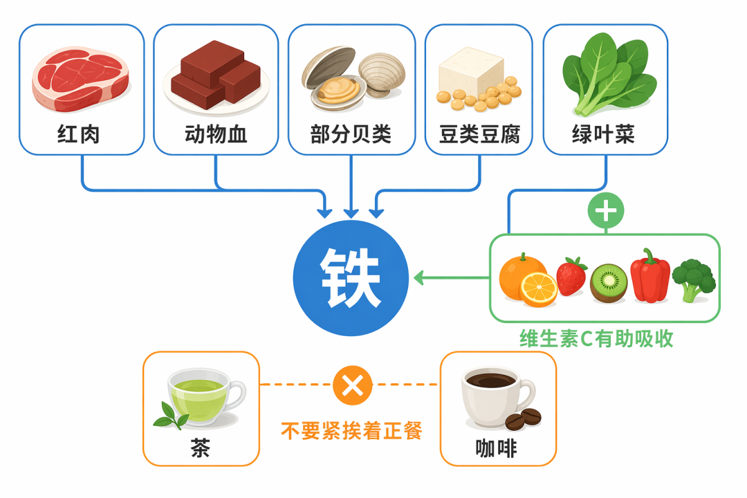 铁来源和吸收搭配