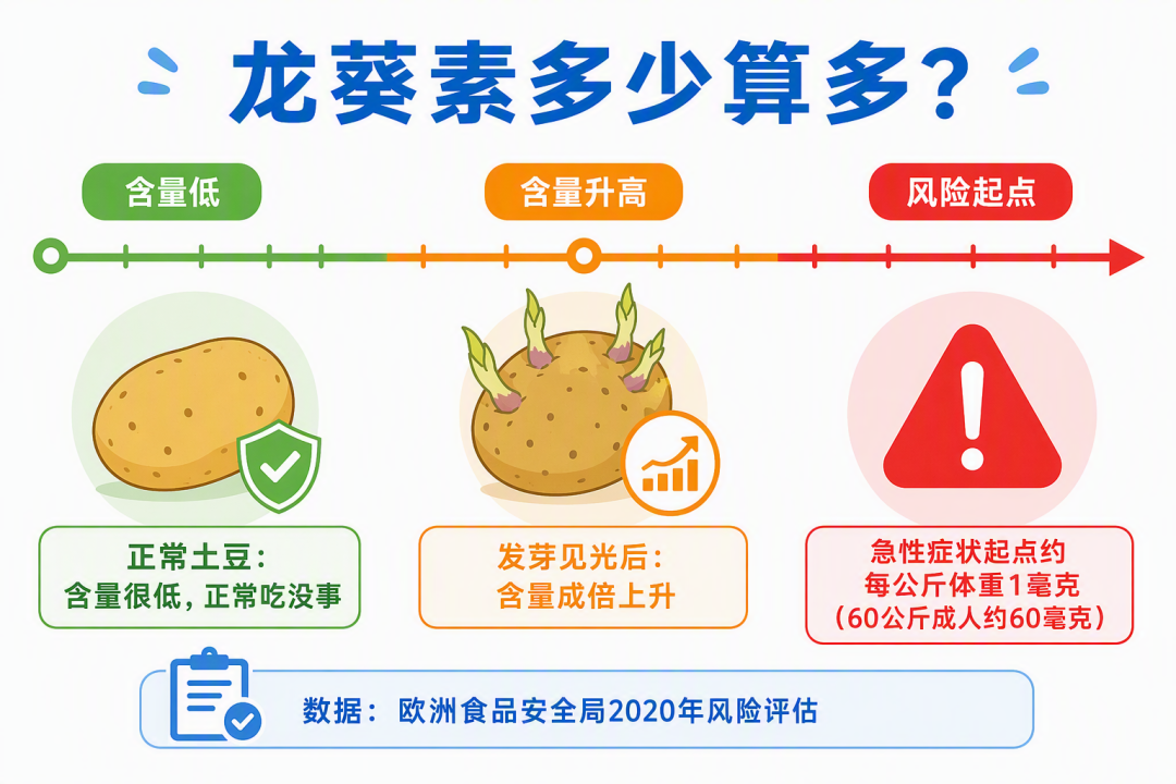 龙葵素多少算多：剂量对比