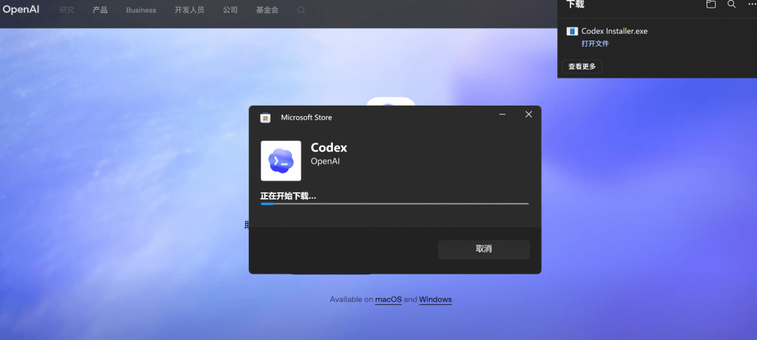 codex下载并安装