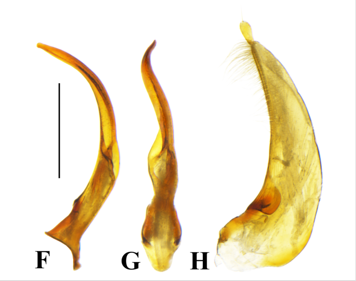2d05931e0387b25a8ab97ab98b925e43.png