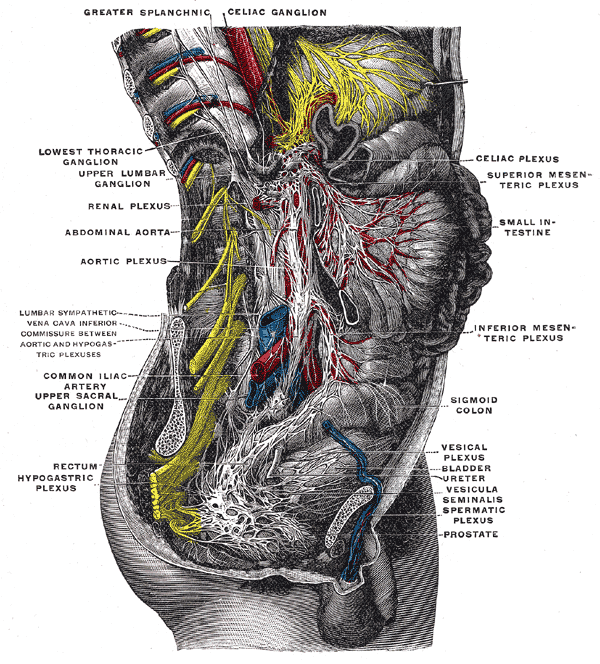File:Gray849.png