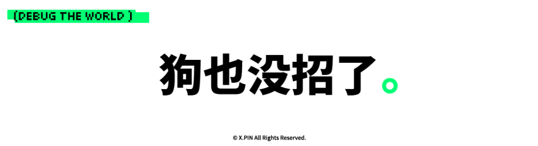 狗也没招了。