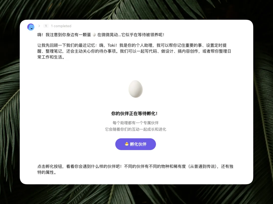 宠物孵化