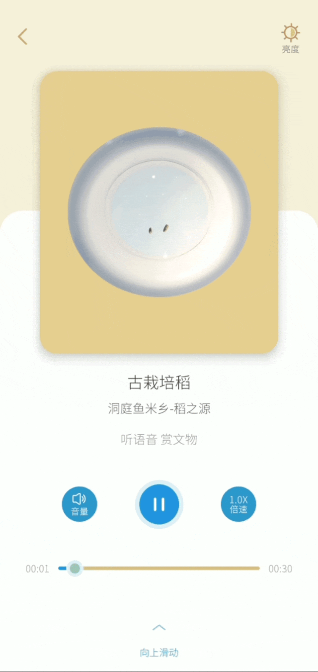 1、古栽培稻.gif