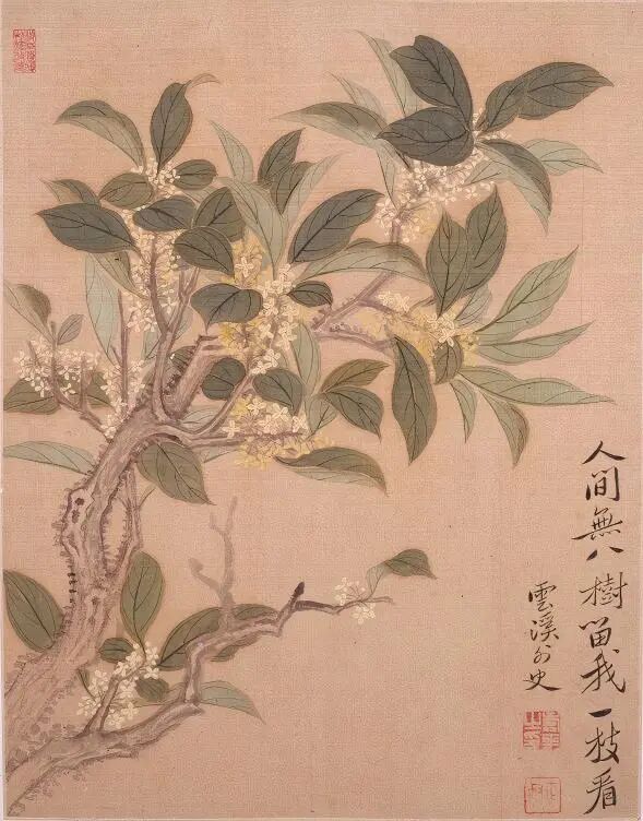 图2 恽寿平花卉图册第二帧.jpg
