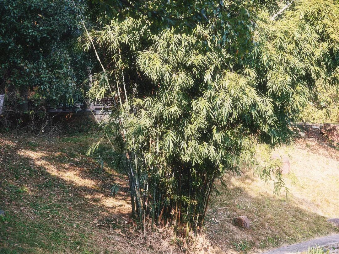图11.jpg