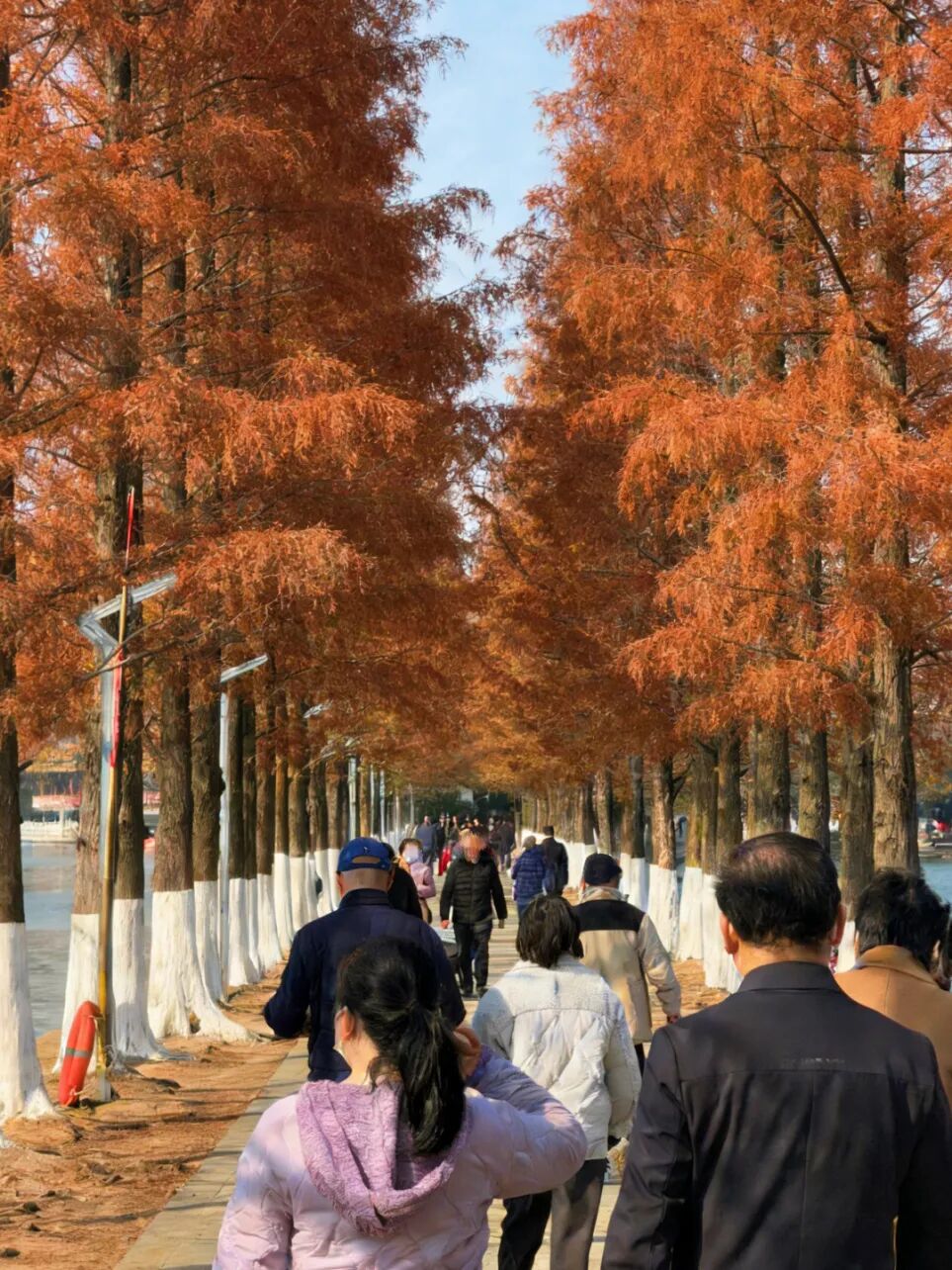 图6.jpg