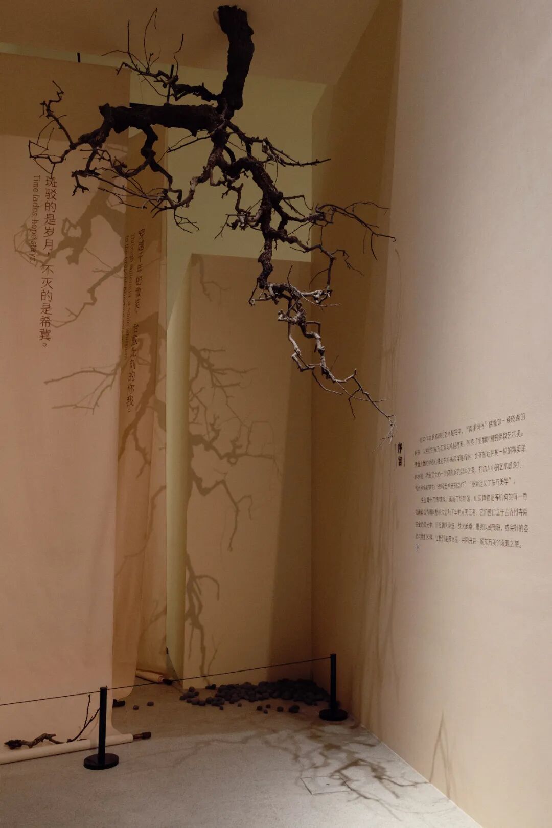 鍥剧墖3.JPG