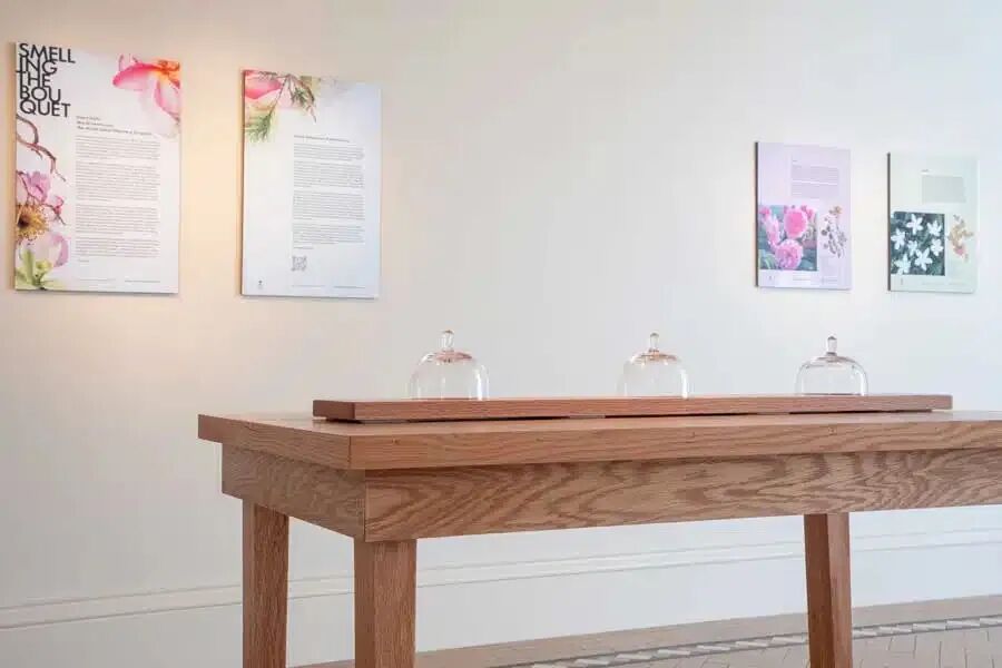 south-gallery_world-sensorium_virginia-harold.jpg