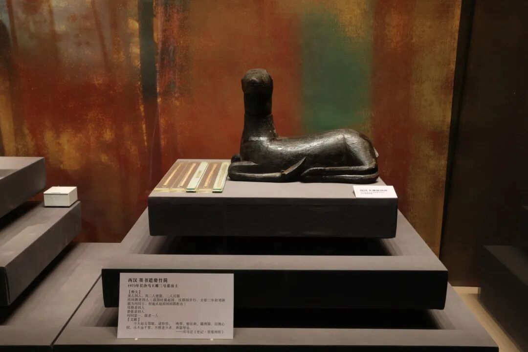 211A7344.jpg