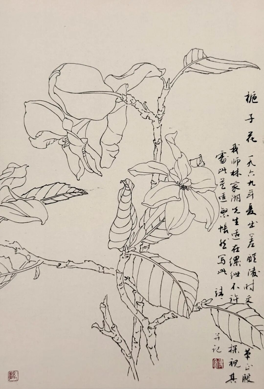 图片7.jpg