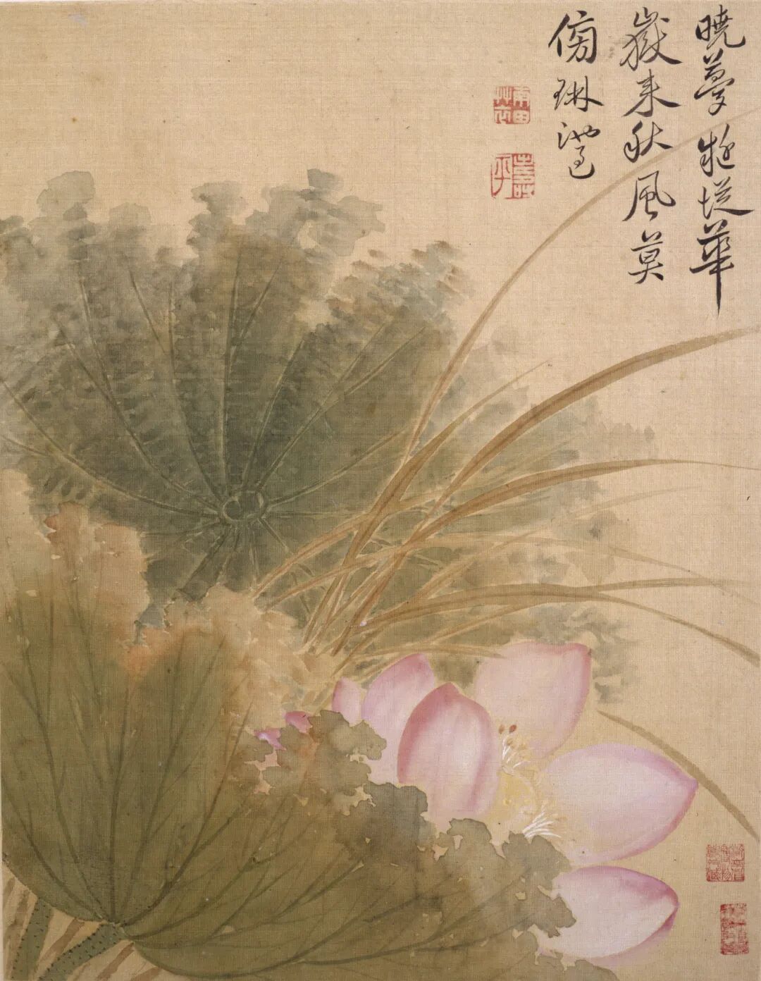 图片13.jpg
