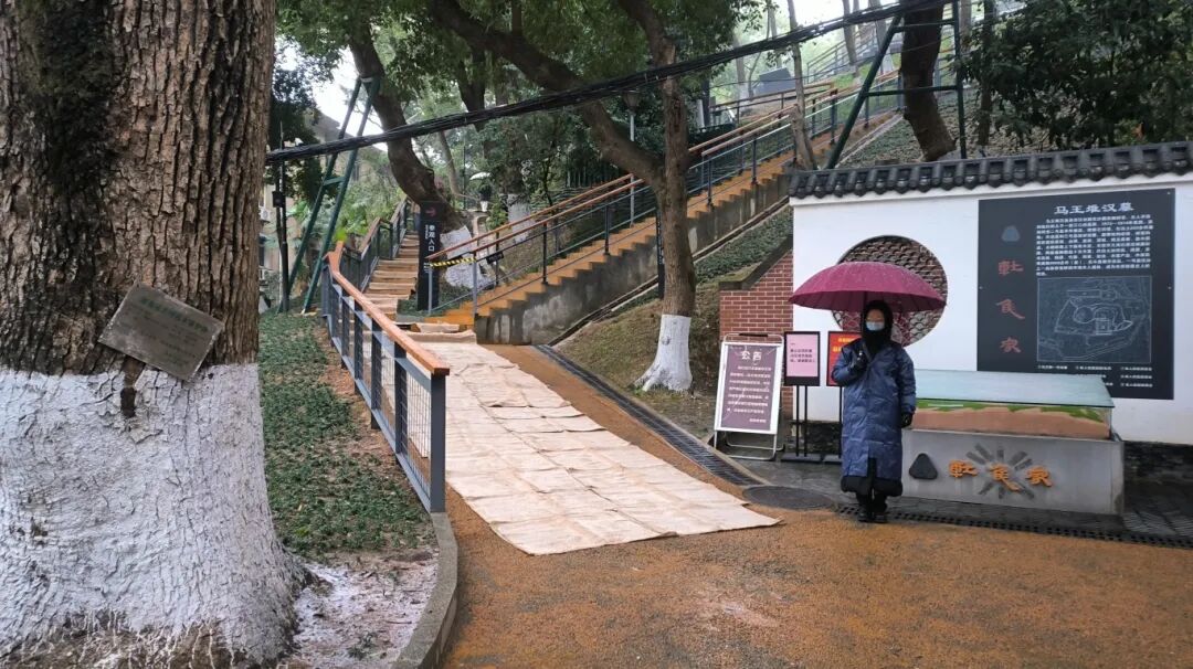 风雪中坚守岗位的湘博人.jpg