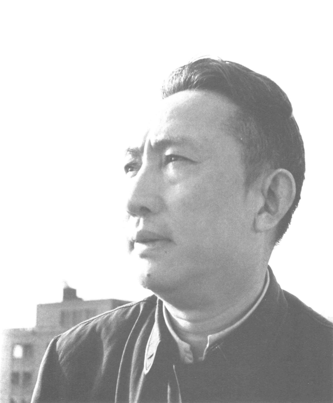 1956年参加第二届全国政协会议时的傅抱石.png