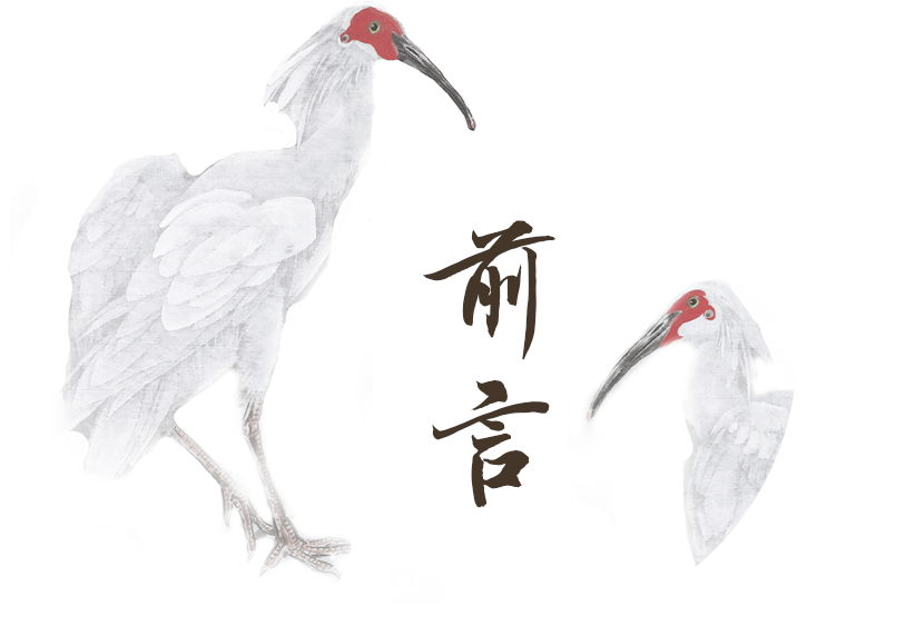 2 前言.png