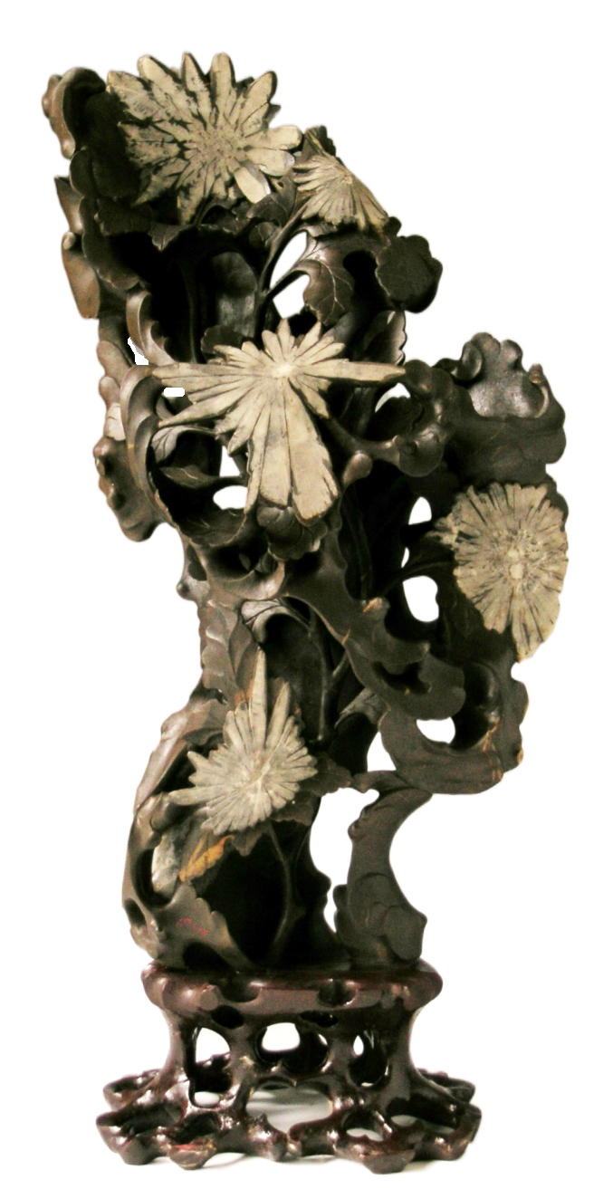 69516_A_1.png