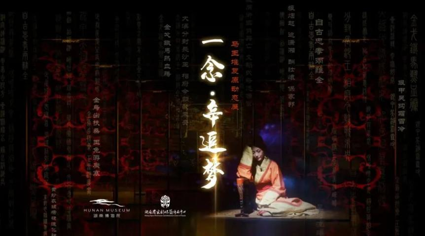 一念辛追梦.png