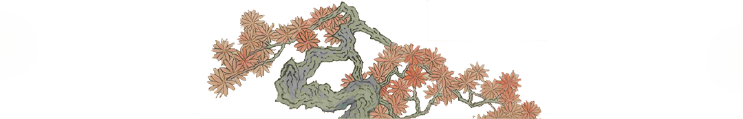 亮度_对比度 2.png