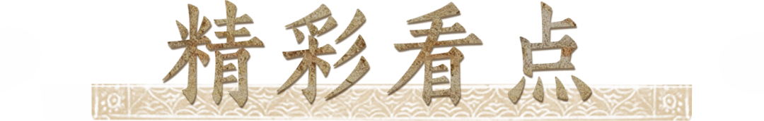 精彩看点.png