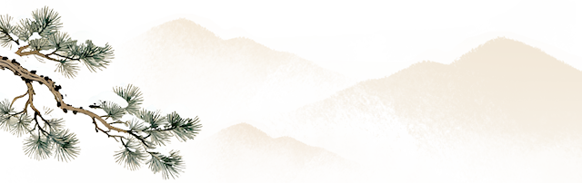 组 13.png